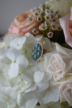 The Genie Turquoise ring-Desert Mesa Jewelry